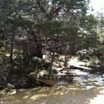 京料理 京の宿菊水  - 