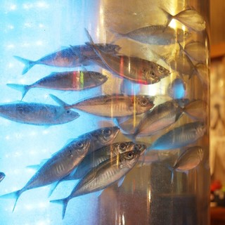 Delivered directly from the huge fish tank in the store! Cook fresh ingredients!