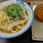 Chikusei - 