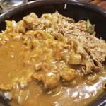 Dontatsudomburinotatsujin - 丼達カレー