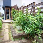 MANNA - レモンの実がなっている