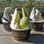 ソリッソ - ジェラート・ダブル・カップ；甘酒＆抹茶（中），黒ごま＆いちじく（右），黒ごま＆スィートチョコレート