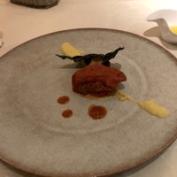 スプレンディード - 