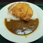 Kareshoppushiandoshi - チキンカツカレー660円の辛口