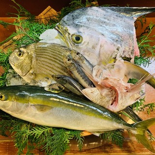 Natural fish dishes with outstanding freshness.