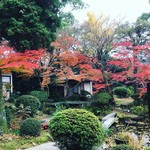 宮の内茶寮 - 秋の庭
