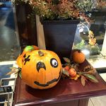 成城アルプス - 