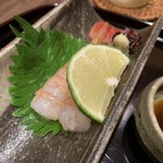 さかい - 北海道噴火湾ボタン海老