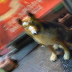 ピッザピッザピッザ - 