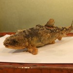 江戸前晋作 - 子持ち鮎