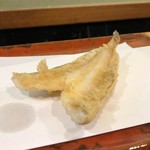 江戸前晋作 - 鱚