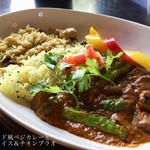 スプーンソング - 北インド風べジカレーとレモンライス＆チキンプラオプレート