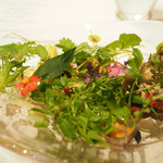 レフェルヴェソンス - 