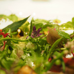 レフェルヴェソンス - 