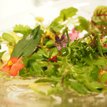 レフェルヴェソンス - 