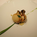 レフェルヴェソンス - 