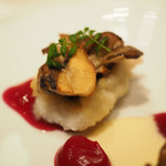 レフェルヴェソンス - 