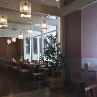 オリーブチャオ_2