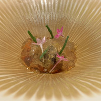 Nayutaka - 