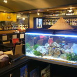 沖縄料理　がちまやー - 店内と水槽。泡盛が豊富で水槽も綺麗です。