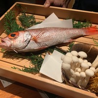 のどぐろ専門 銀座中俣 はなれ - 