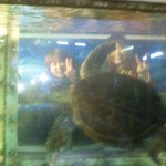 居魚屋　網元 - まるで海の中にいるような席