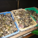 居魚屋　網元 - 牡蠣がいっぱい