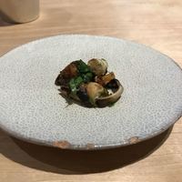bb9 - 