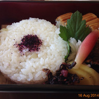 葉山 日影茶屋 - 