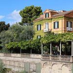 Terrazza Vittoria - エクセルシオールの藤棚