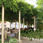 Terrazza Vittoria - お客様がいらっしゃいます