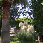 Terrazza Vittoria - パンパース・グラス