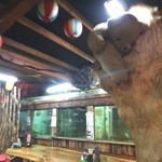 居魚屋　網元 - クマのお昼寝と店内