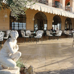 Terrazza Vittoria - オリーブの木陰