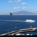 Terrazza Vittoria - 激写！渾身の一枚〜♬