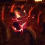 好日庵 - 2011年12月撮影