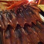 好日庵 - 2011年12月撮影 