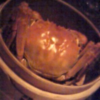 LUCIS GARDEN 恵比寿 - 