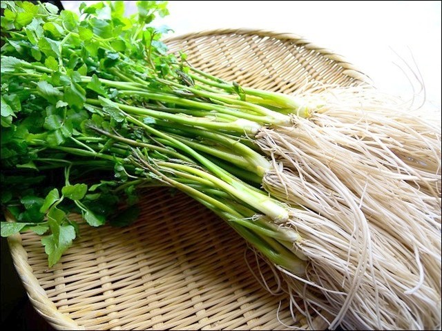 まる（○） - 古川（居酒屋）の写真