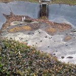 ふれあいの里 - 2012,02,23