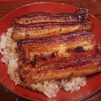 吉寅 - 