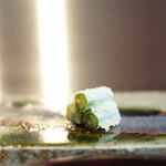 てんぷら　成生 - 