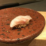 髙橋 謙太郎 - 白甘鯛