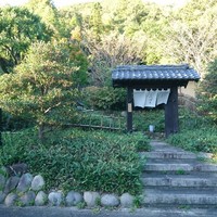 洋食 つばき - 
