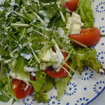 tomato and cheese salad