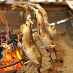 柳家 - 岐阜県馬瀬川(まぜがわ)の子持ち鮎の塩焼き