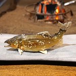 柳家 - 岐阜県馬瀬川(まぜがわ)の子持ち鮎の塩焼き