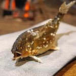 柳家 - 岐阜県馬瀬川(まぜがわ)の子持ち鮎の塩焼き