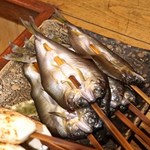 柳家 - 鮎の風干し