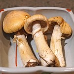 柳家 - しょうげんじ